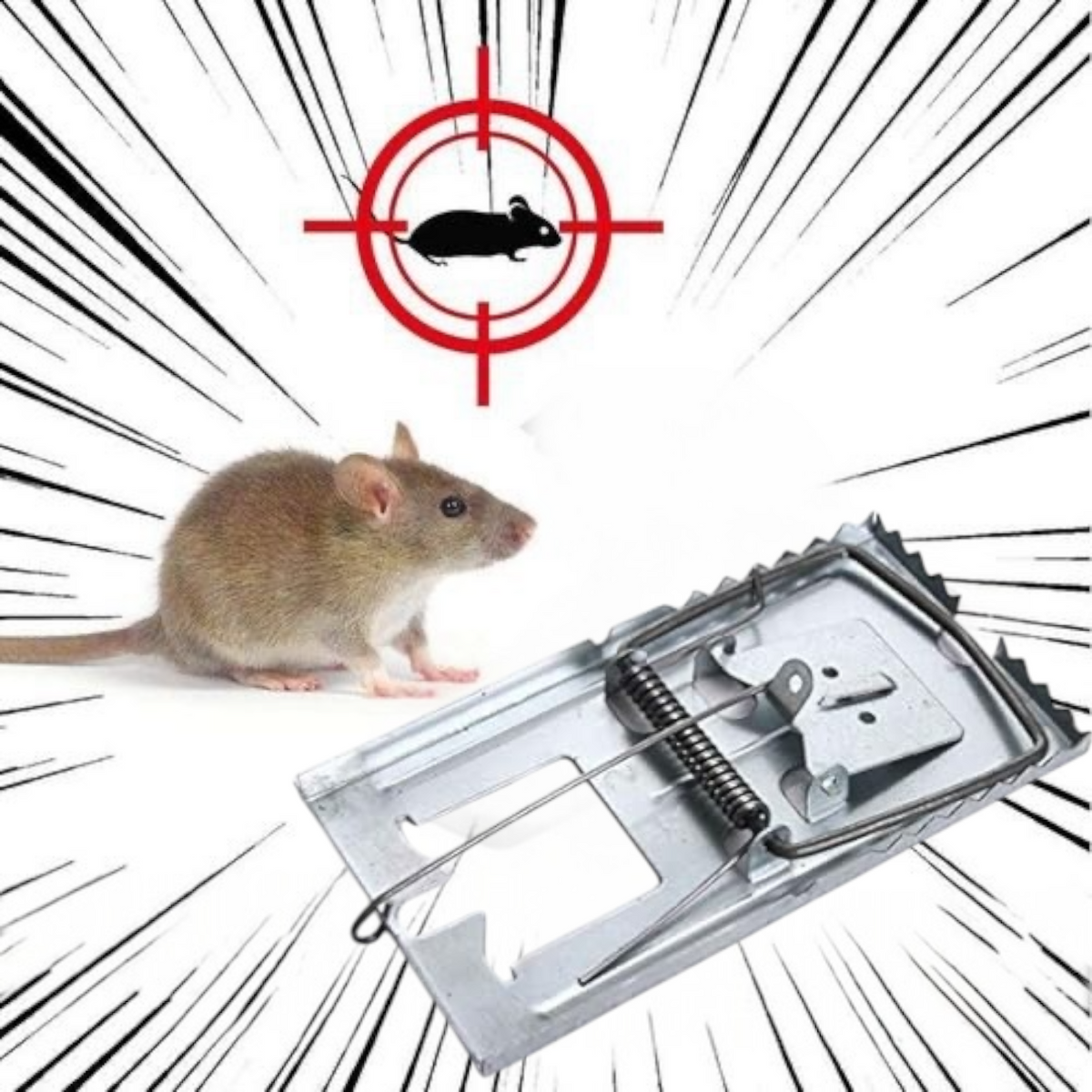 Pièges à Rats - Attrape souris - 17cmx10cm - SQES