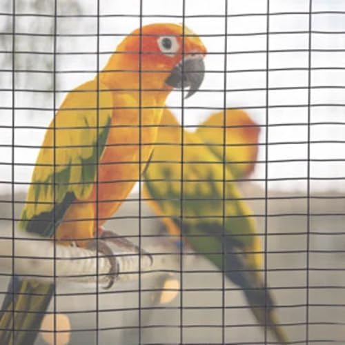 Grillage pour volière et cage à oiseaux Galvanisé - Rouleau de 25 mètres - Maille rectangulaire 10x24 pour Jardin