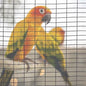 Grillage pour volière et cage à oiseaux Galvanisé - Rouleau de 25 mètres - Maille rectangulaire 10x24 pour Jardin