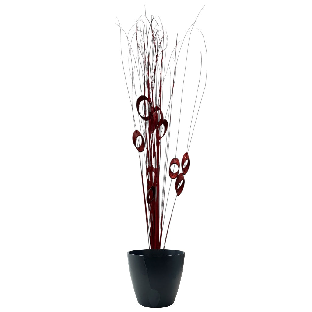 Plante sèche rouge à boucle avec pot noir