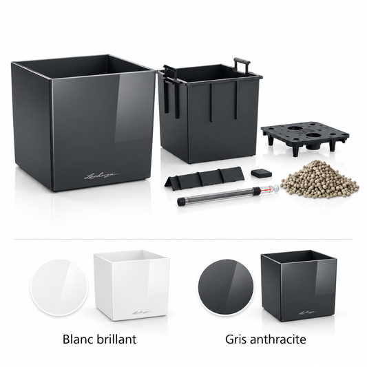 LECHUZA CUBE Premium 30 Blanc brillant 16460 et Gris anthracite 16463, pot cubique avec réservoir d’eau 3 L et volume de plantation 12 L, pour espaces végétalisés contemporains | SQES Tunisie
