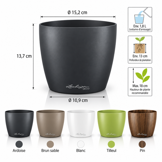LECHUZA DECO 14 cache-pot décoratif en plastique, Ardoise 18880, Brun sable 18881, Tilleul 18883 et Pin 18884, pour habiller les petites plantes | SQES Tunisie
