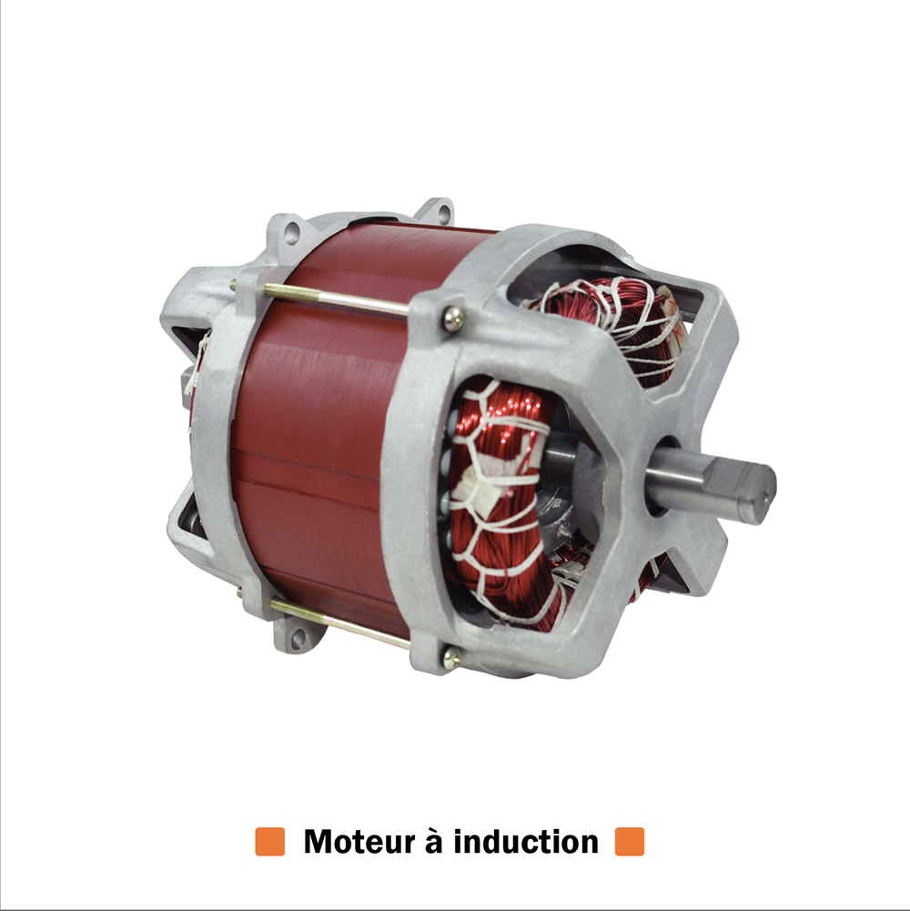 Tondeuse à Gazon Électrique ACEM – TI160 Watt – Moteur à Induction - 1600w - SQES