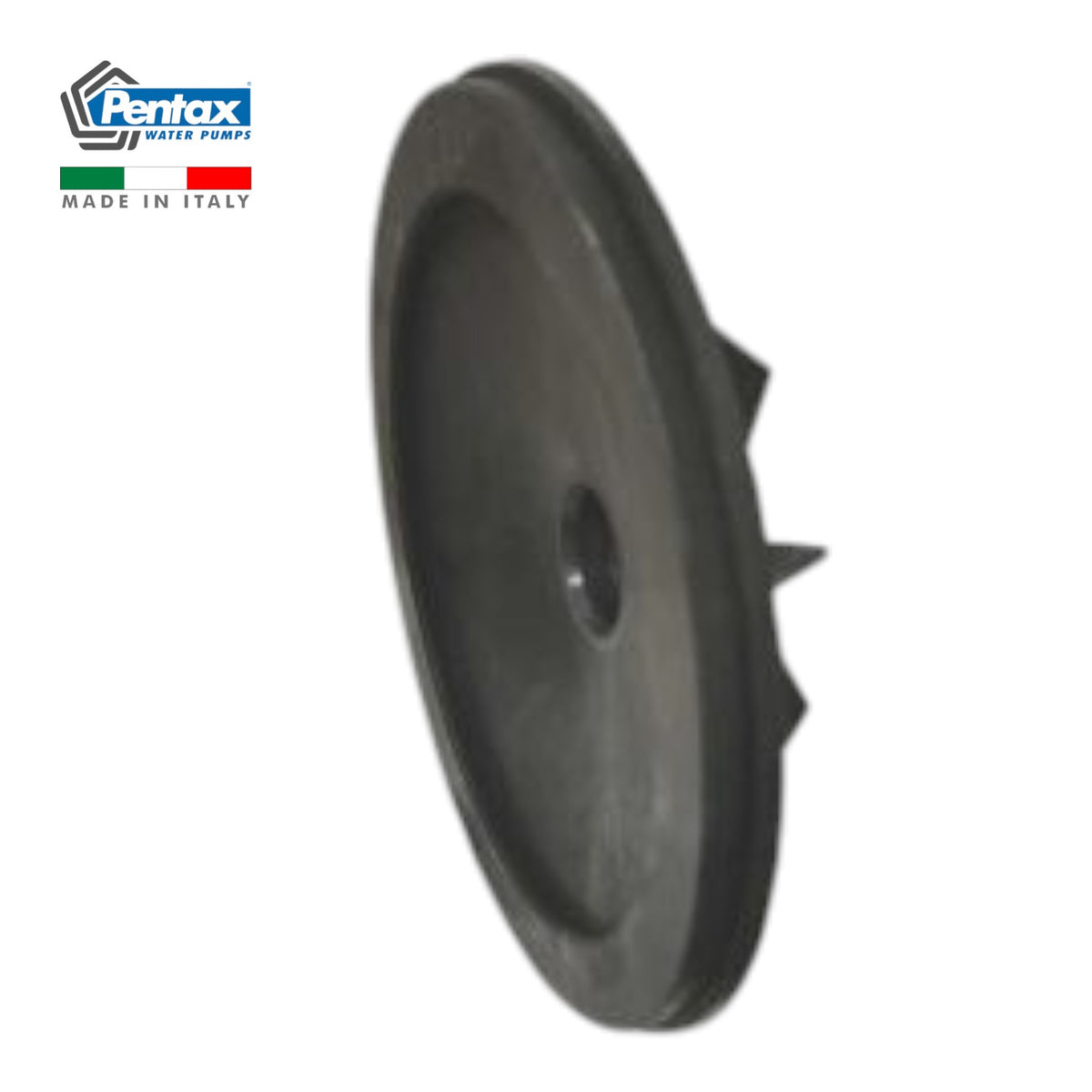 Disque CAMT100 M72514015 Pièce de Rechange Pompe PENTAX