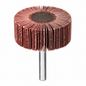 Roue à lamelles DS Professional Tools RF038 30×25×6 grains G60 G100 G120 | SQES Tunisie
