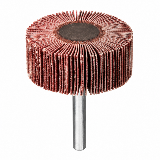 Roue à lamelles DS Professional Tools RF038 40×25×6 grains G80 et G100 | SQES Tunisie
